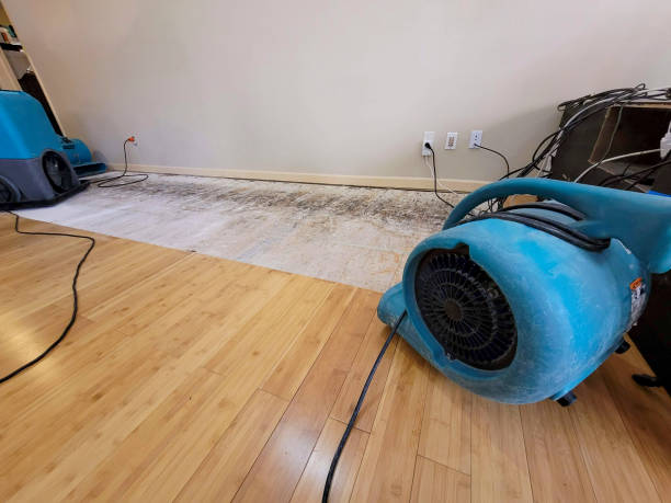 Reliable Basement Flood Cleanup contractor in Lawton, MI by Hirex Water Damage