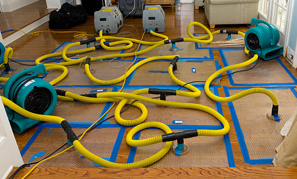Professional Basement Flood Cleanup technician working in Lawton, MI